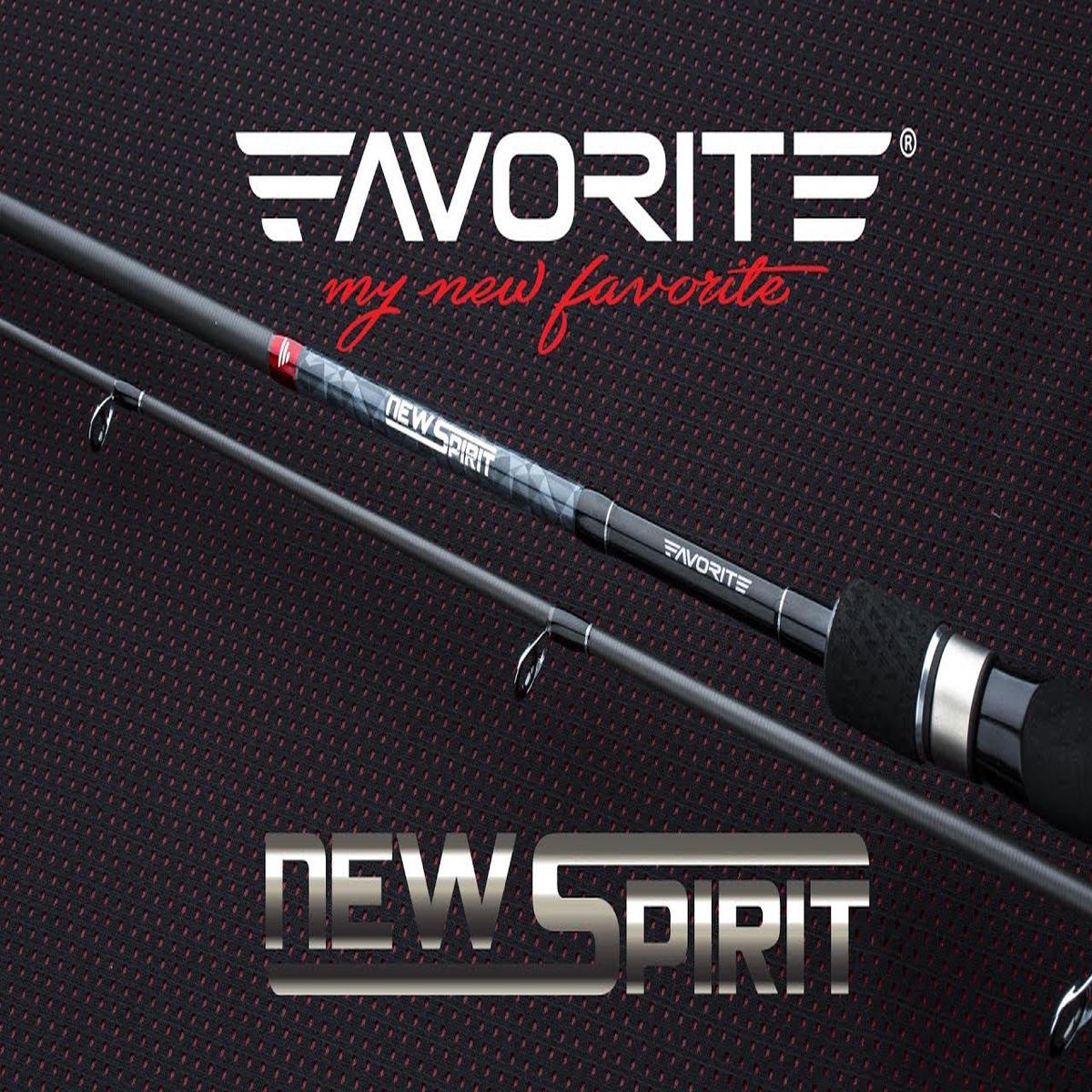 Favorite New Spirit - NSP-662ML 1.98m 4-18g M.Fast