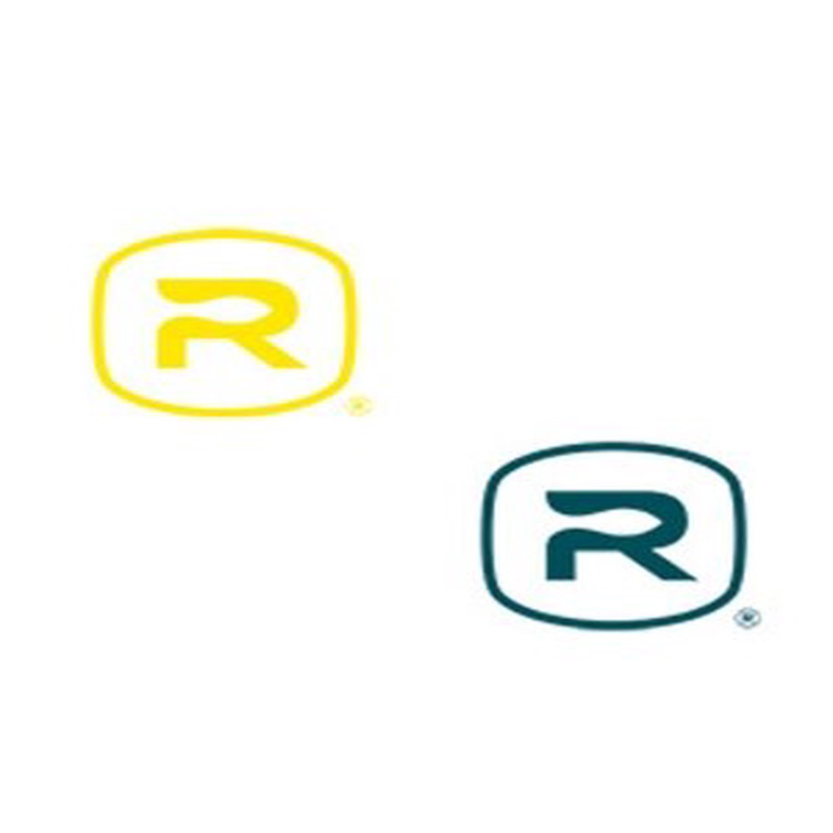 Rio Bug Decal
