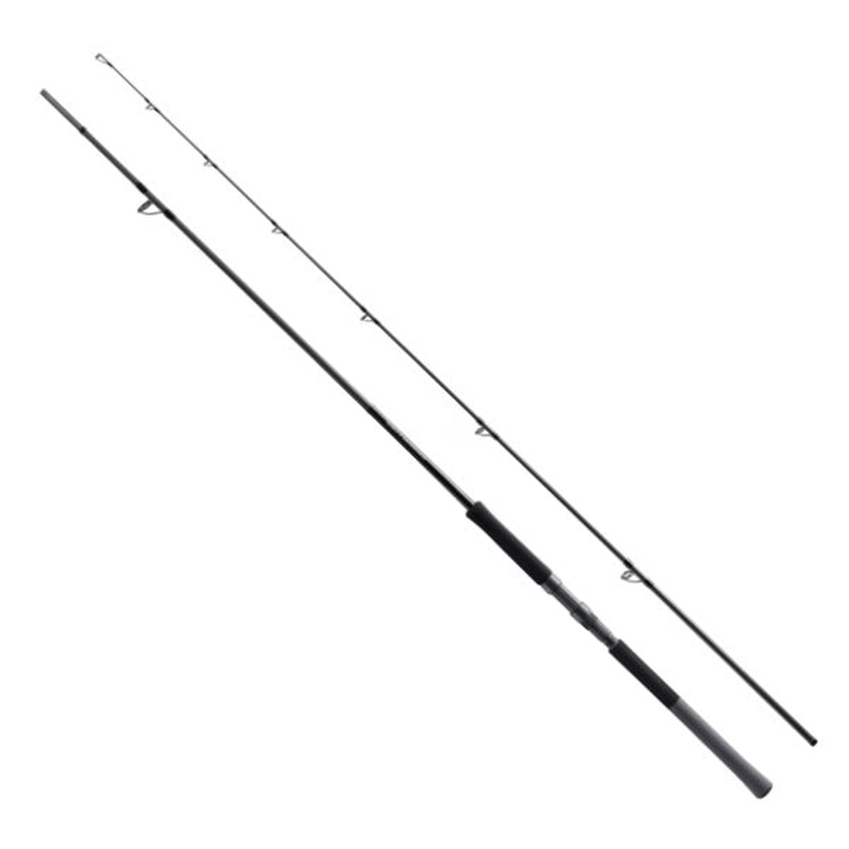 Shimano 25 Salty Advance Shore Jigging S100MH (Spinning 2 piece)