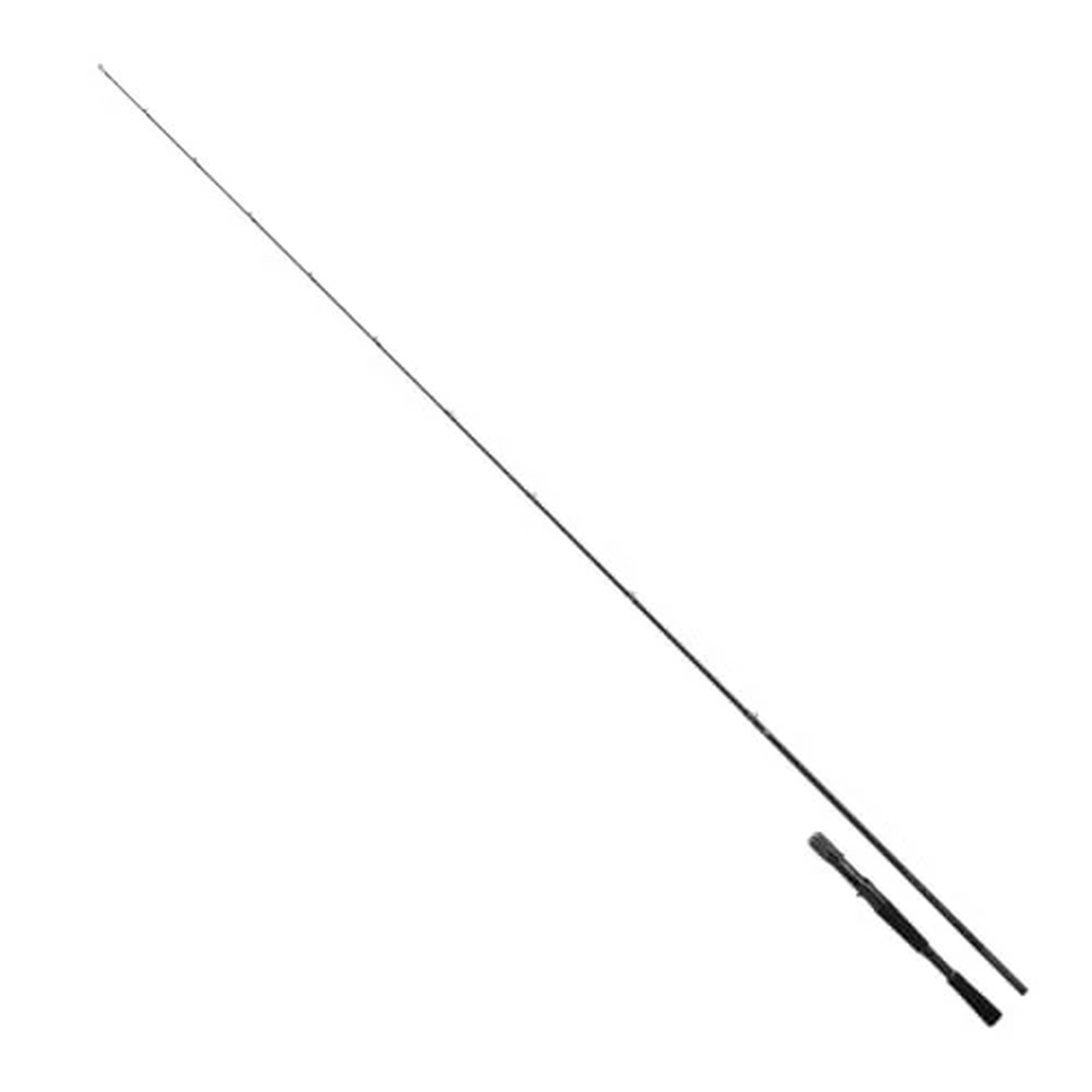 Daiwa 25 BLACK LABEL C610M Baitcasting Rod for Bass