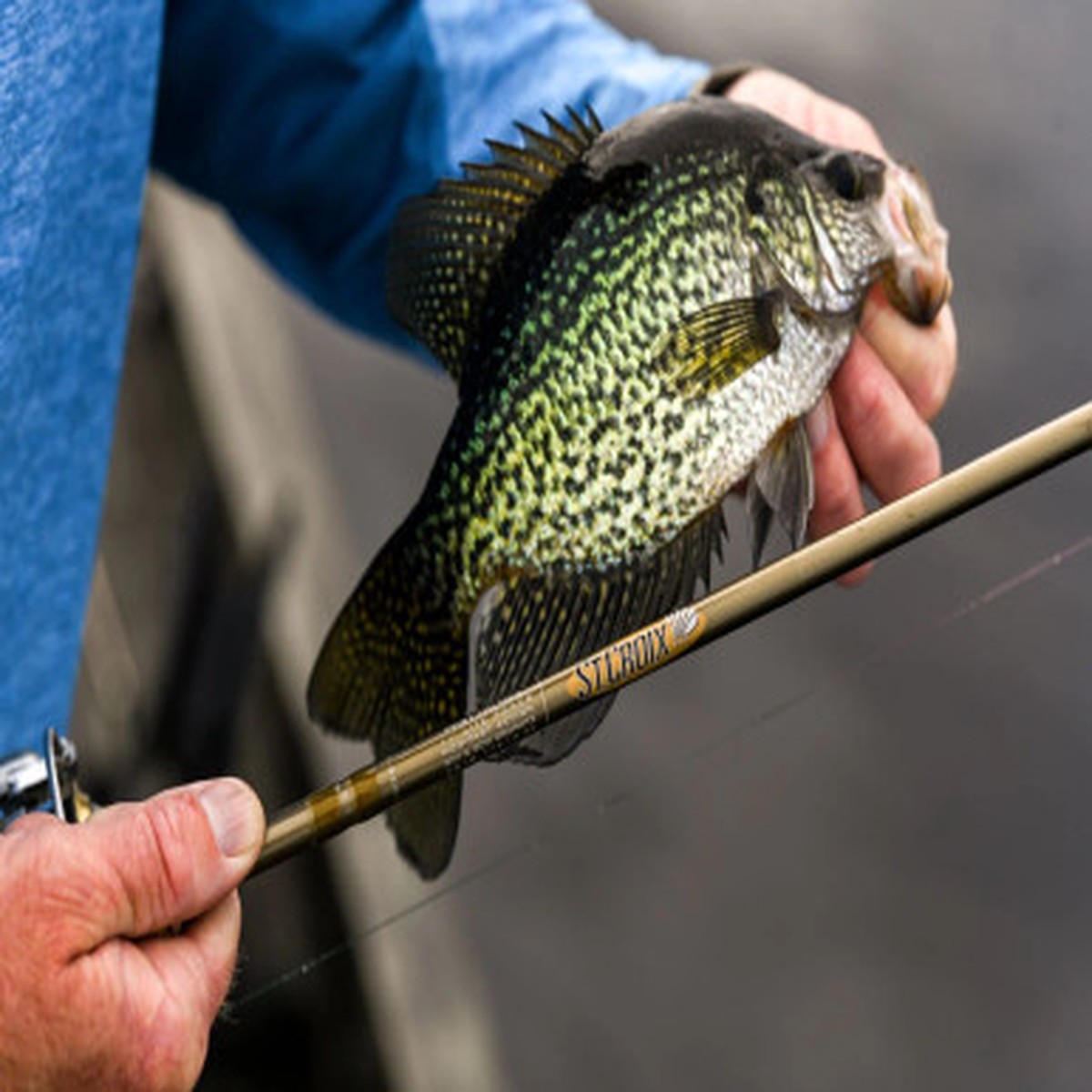 St. Croix Panfish Series Spinning Rods