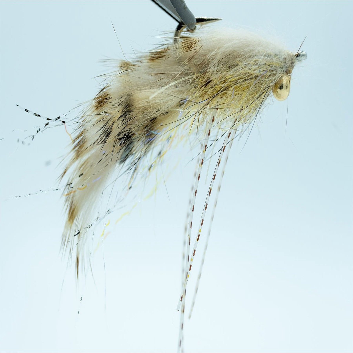 Chewy's Morsel Chouinard - Coyote