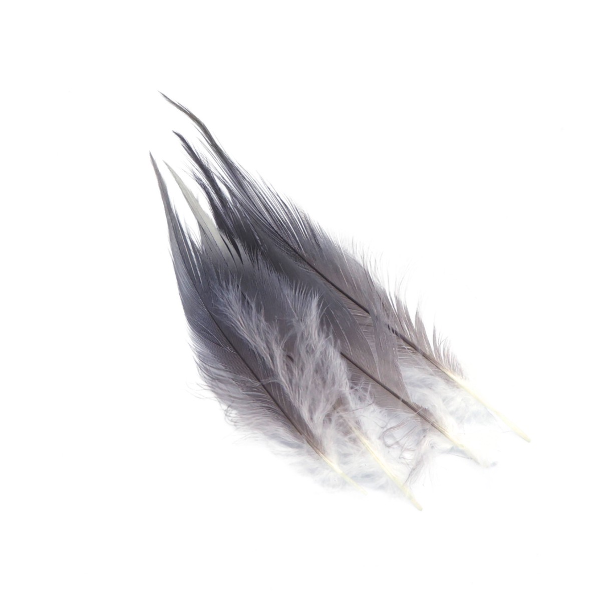 Drift Outfitters Heron Spey Hackle