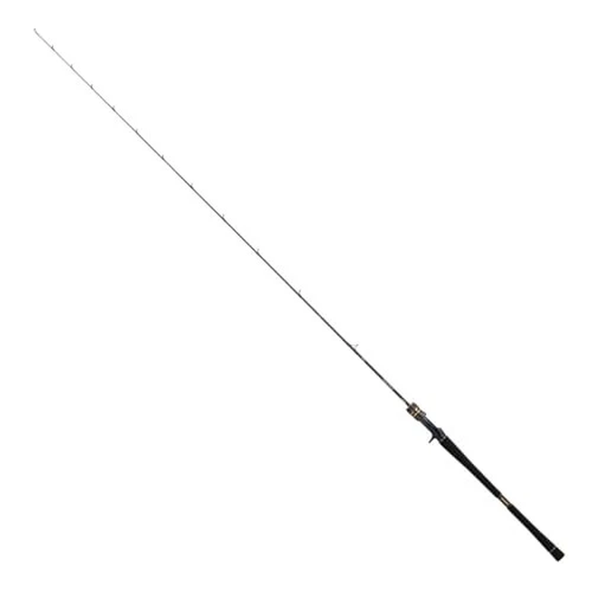 Daiwa 25 SALTIGA LJ EX 62HB-S Spinning Rod for Eging