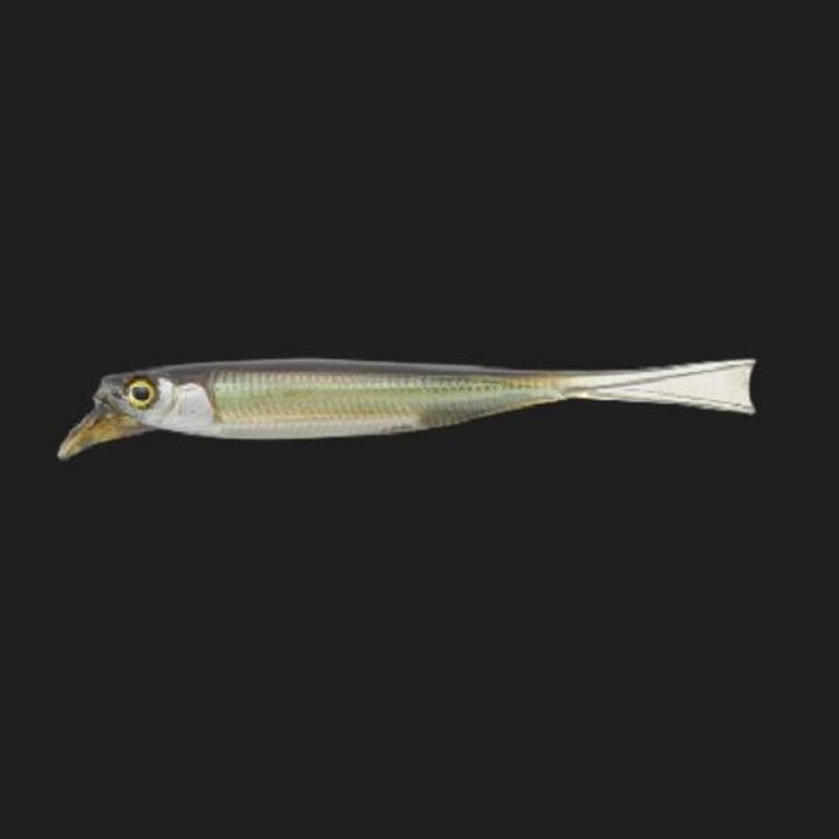 Jackall Worm Drift Fry 4.0inch Sweetfish