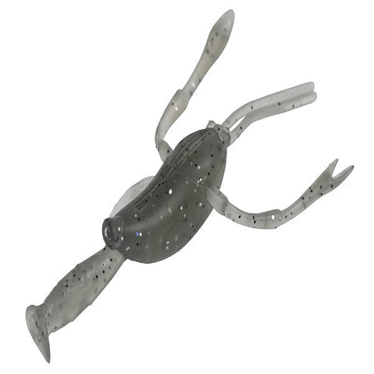 Dstyle Worm Ebison Striped shrimp