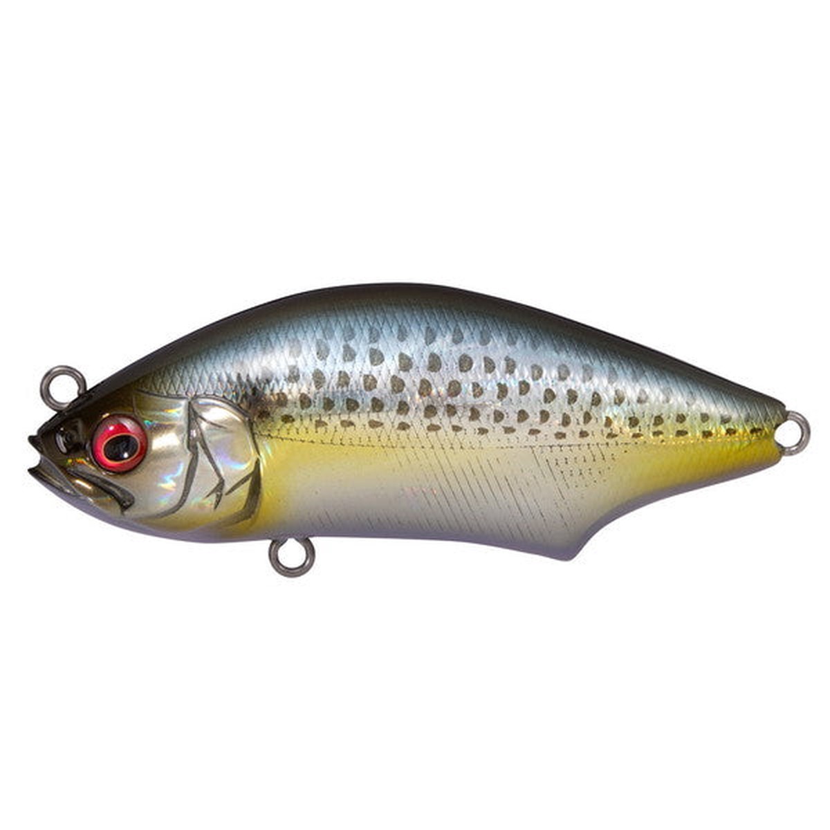 Megabass Seabass Lure Hadara Trap GG Konoshiro