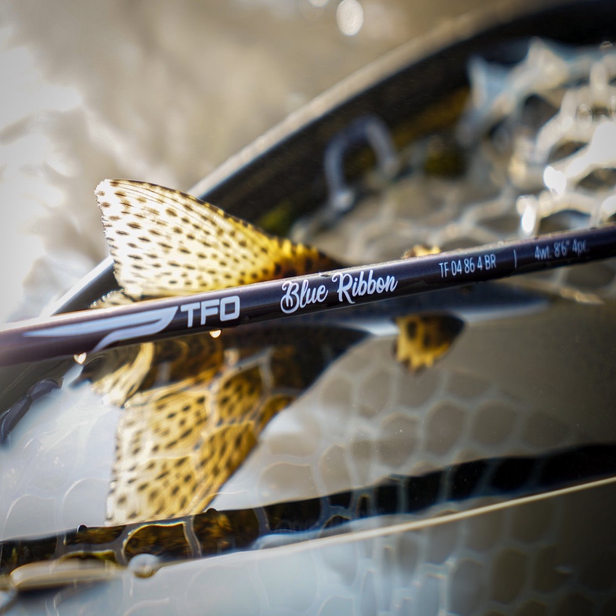 Blue Ribbon Fly Rod