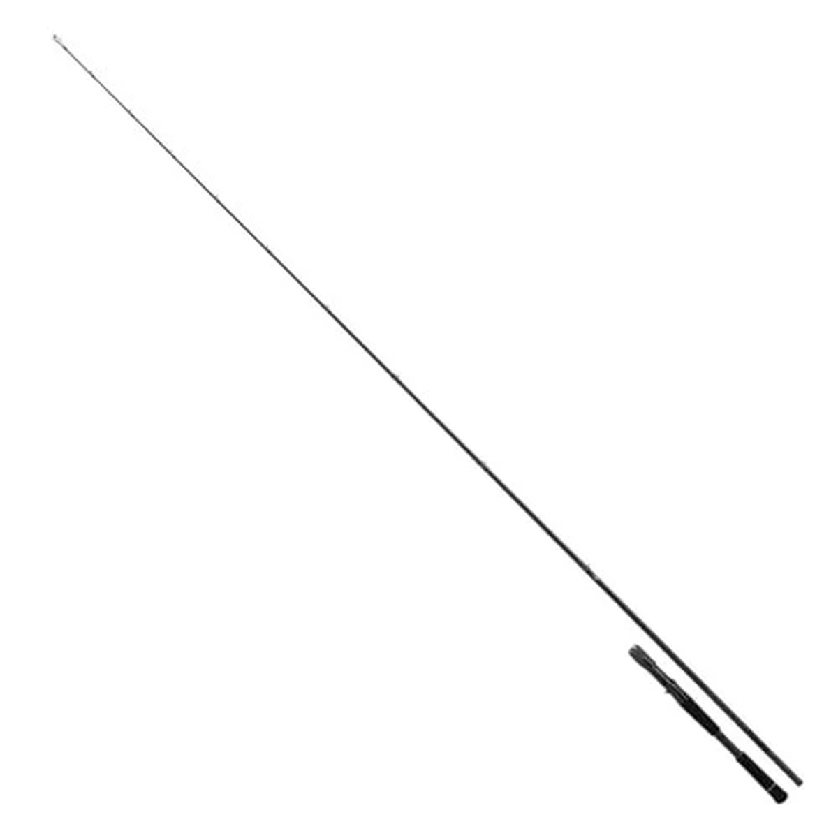 Daiwa 25 BLACK LABEL C74H Baitcasting Rod for Bass