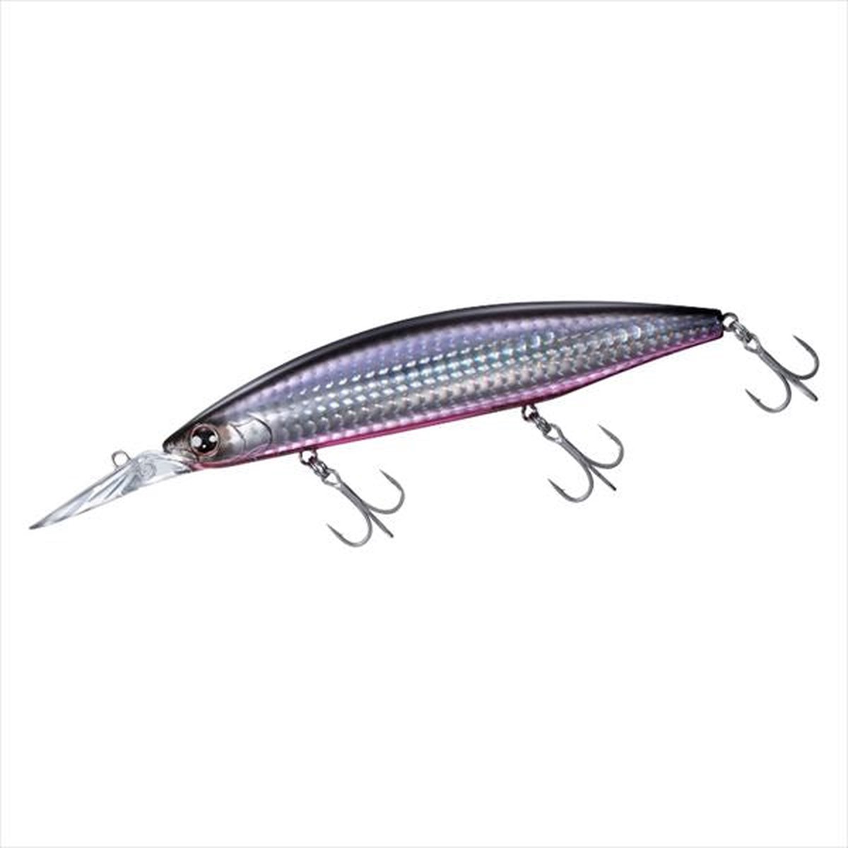Daiwa Seabass Lure Shoreline Shiner-Z Set Upper Full Back 125SDR Onuma Special Ver.3D Kirameki