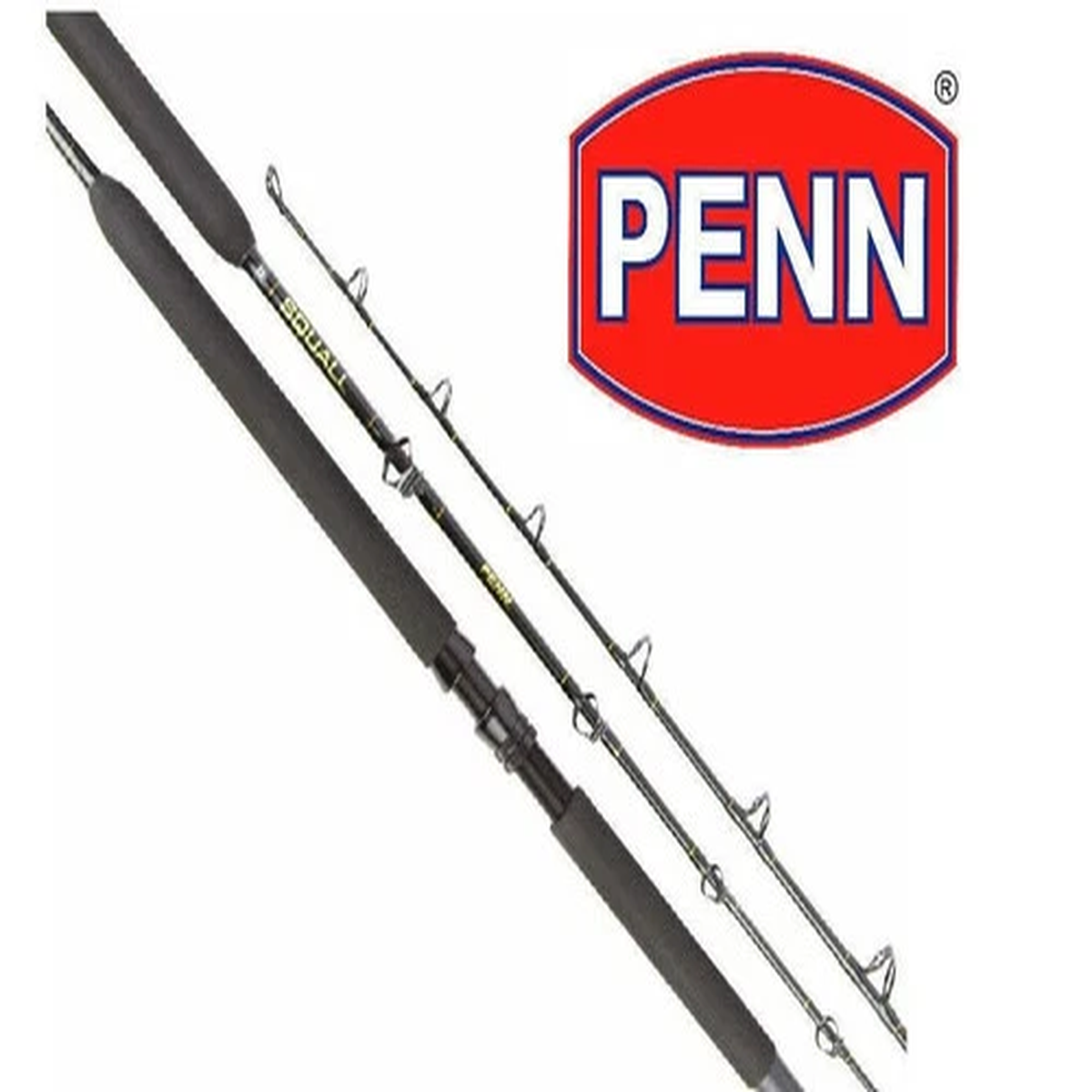 Penn Squall Fishing Rod 6'6" 1 Piece 6-10kg Overhead Rod NEW with Tags