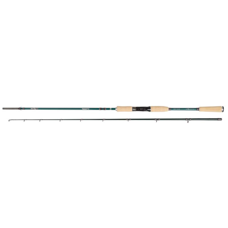 Abu Garcia Beast X Cork Casting Rod
