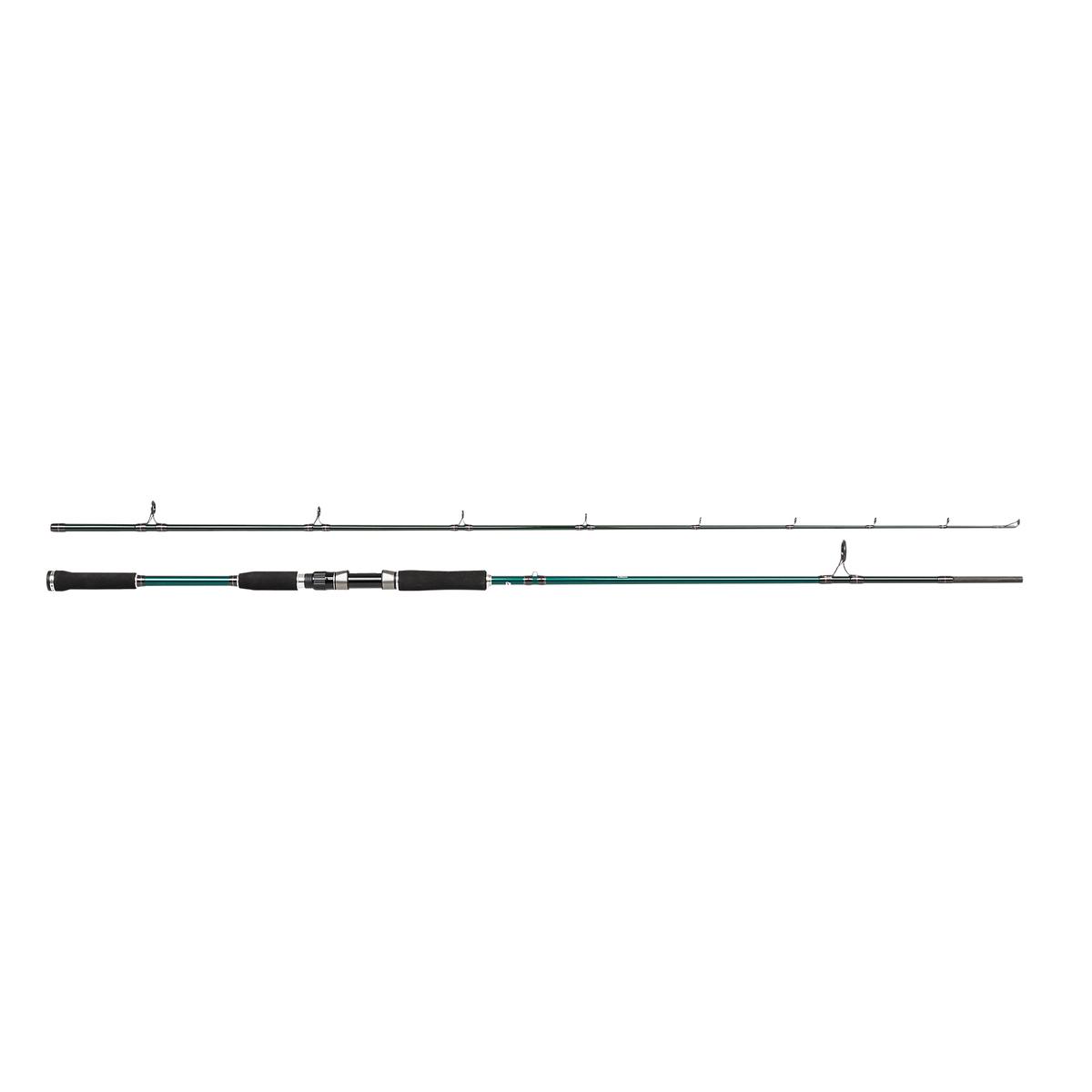 Abu Garcia Beast X Spinning Rod - 274cm 60-120g