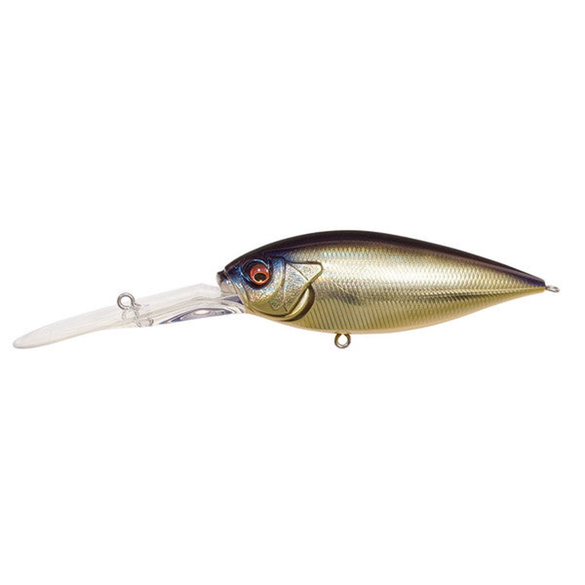 Megabass Bass Lure Deep-Six SH Champagne Gold Black