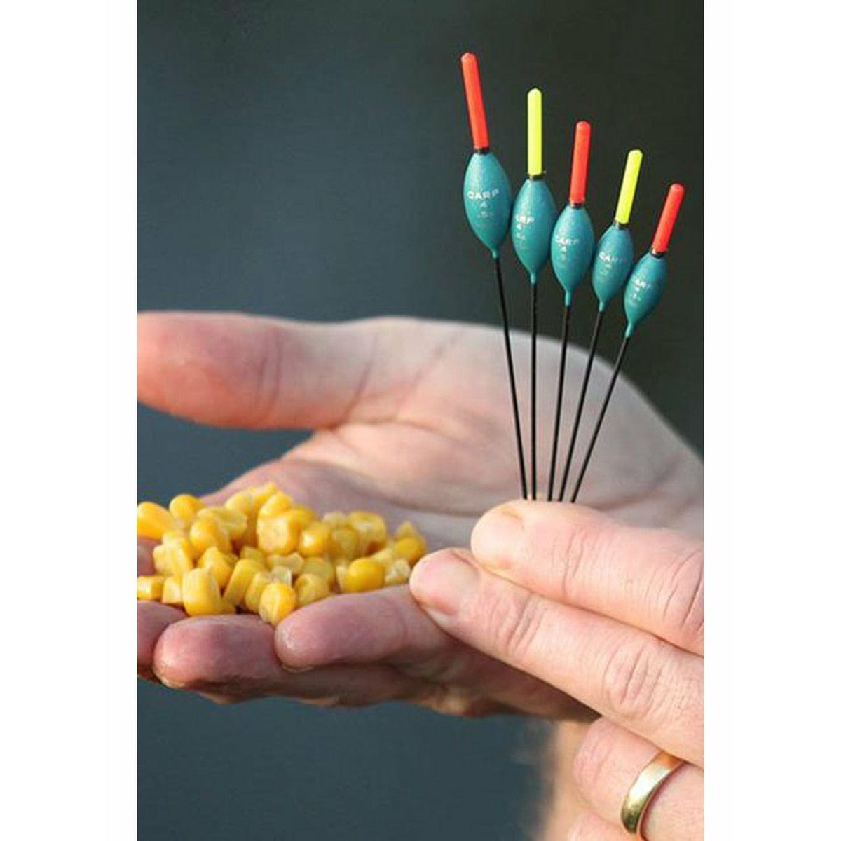 Drennan Carp 4