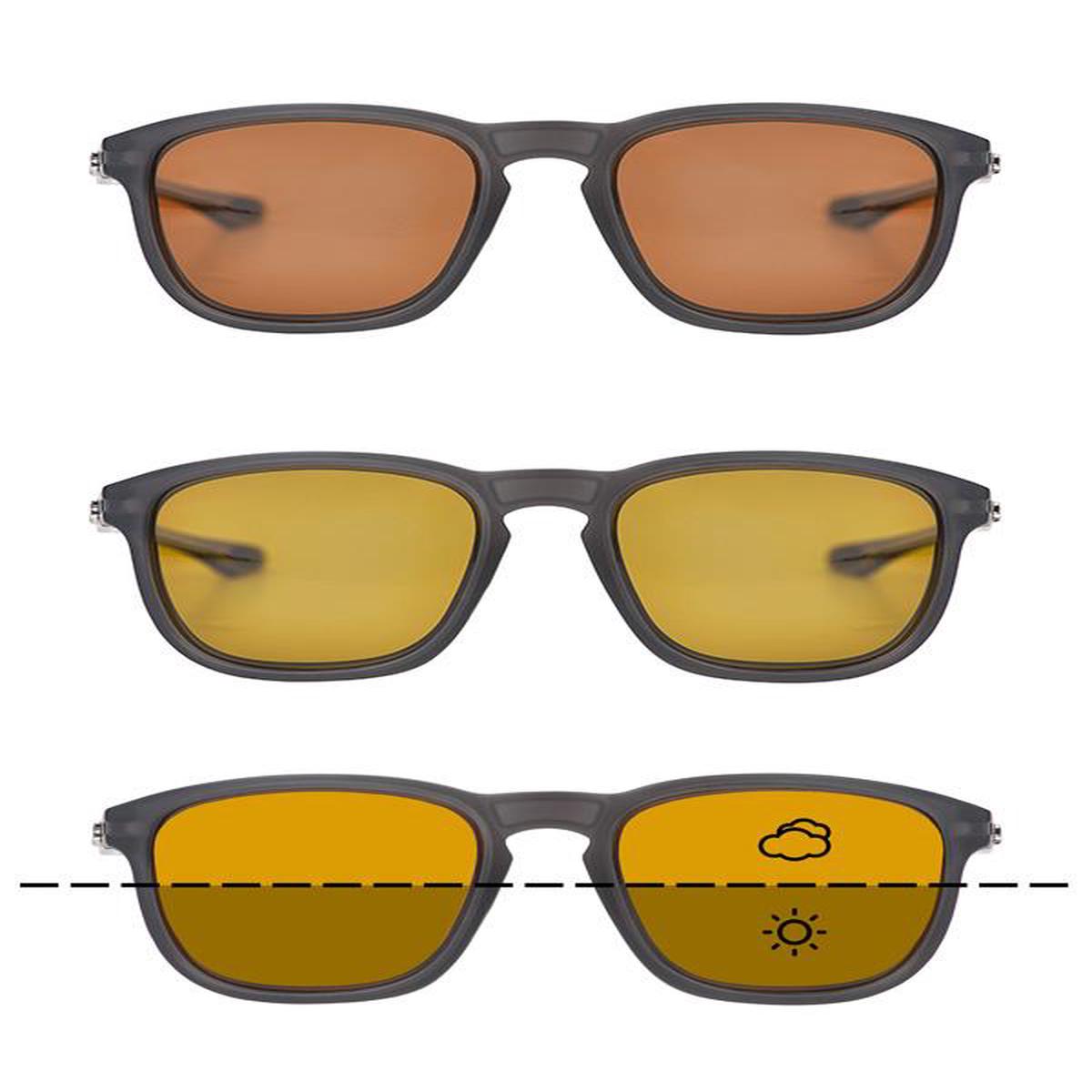 Fortis Eyewear Strokes