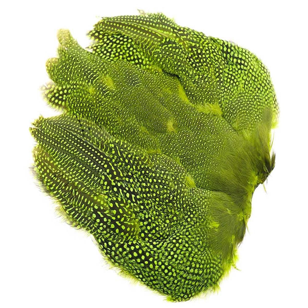 Guinea fowl Full Skin - Chartreuse