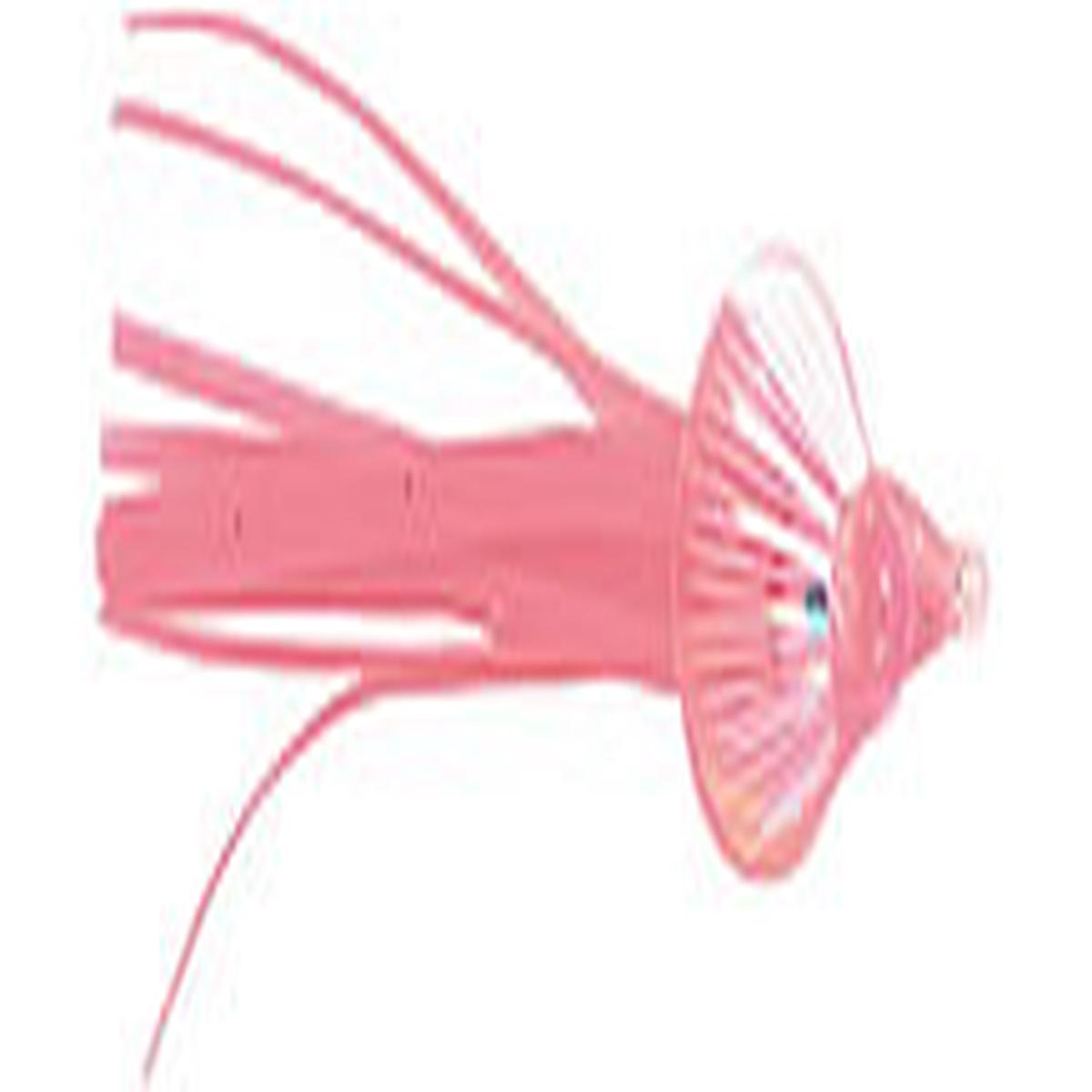 P-Line Geisha Squid