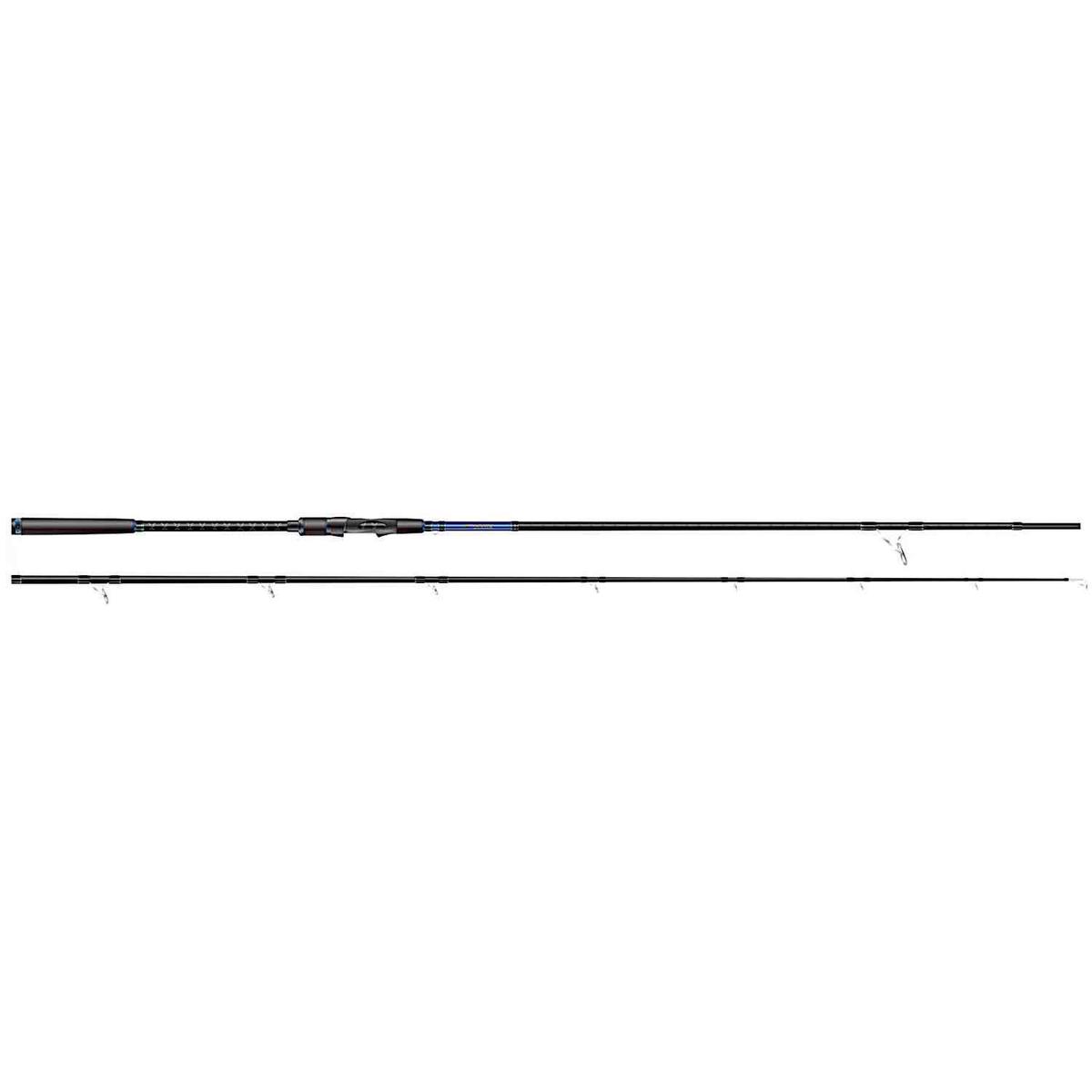 Dexter Plugger Rod 9'6 20-60g