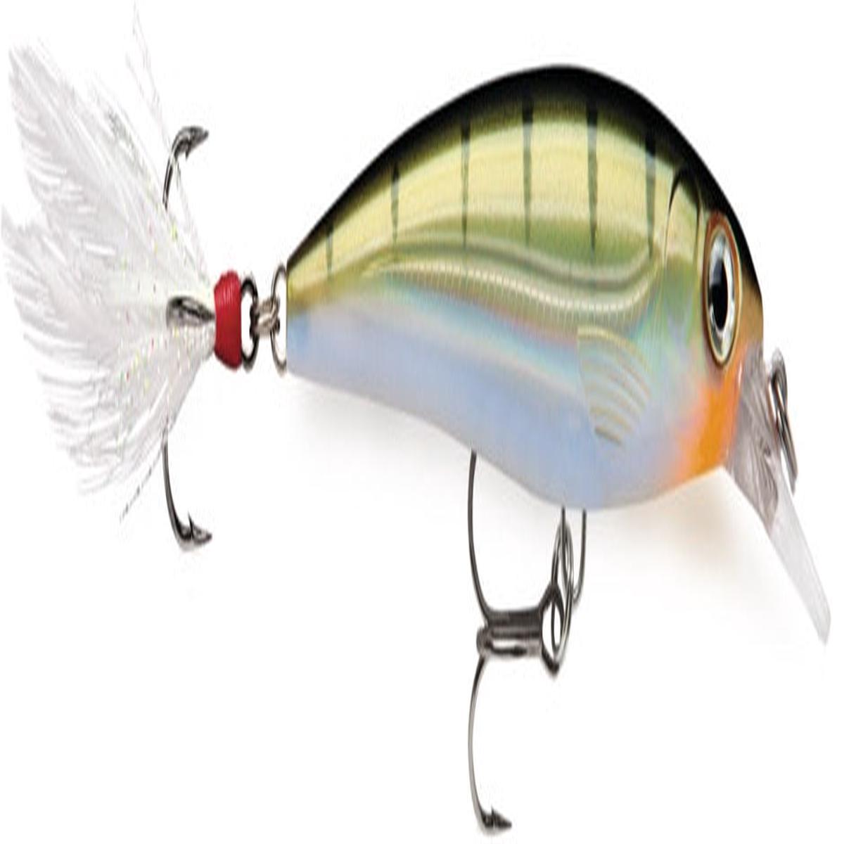 Rapala X Rap 10