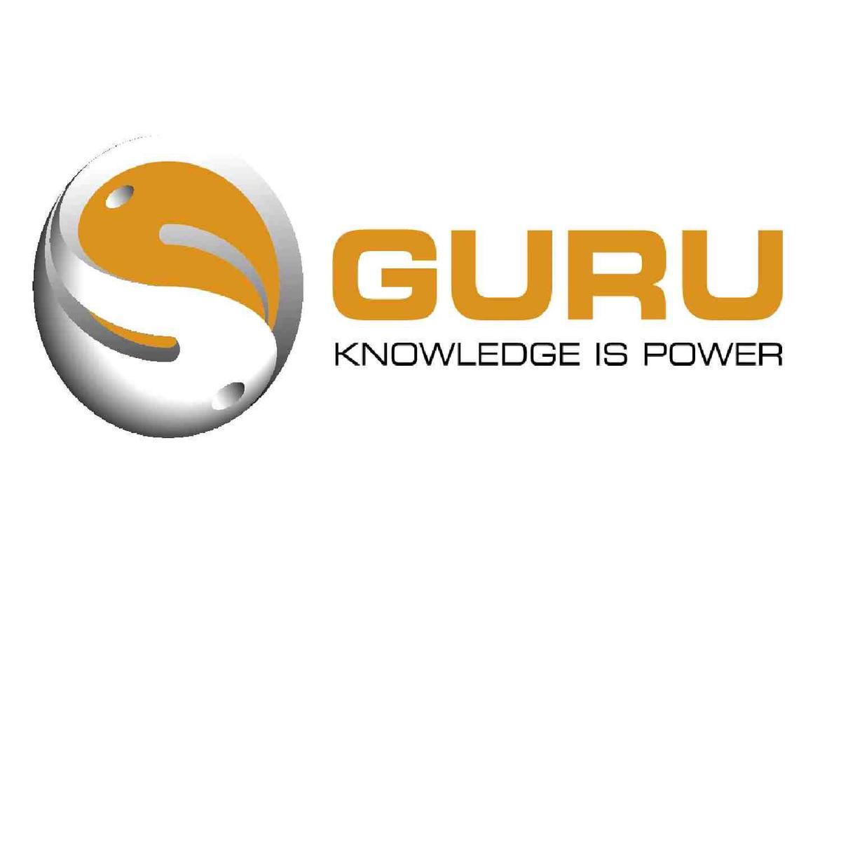 Guru Zero 500 Safe Section 6/7