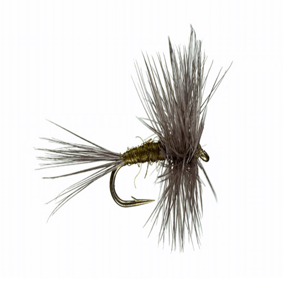 Traditional BWO Dry