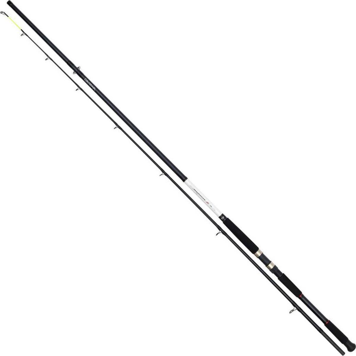 Daiwa Seahunter Z SeaBass 11'6 1-3oz 2pc