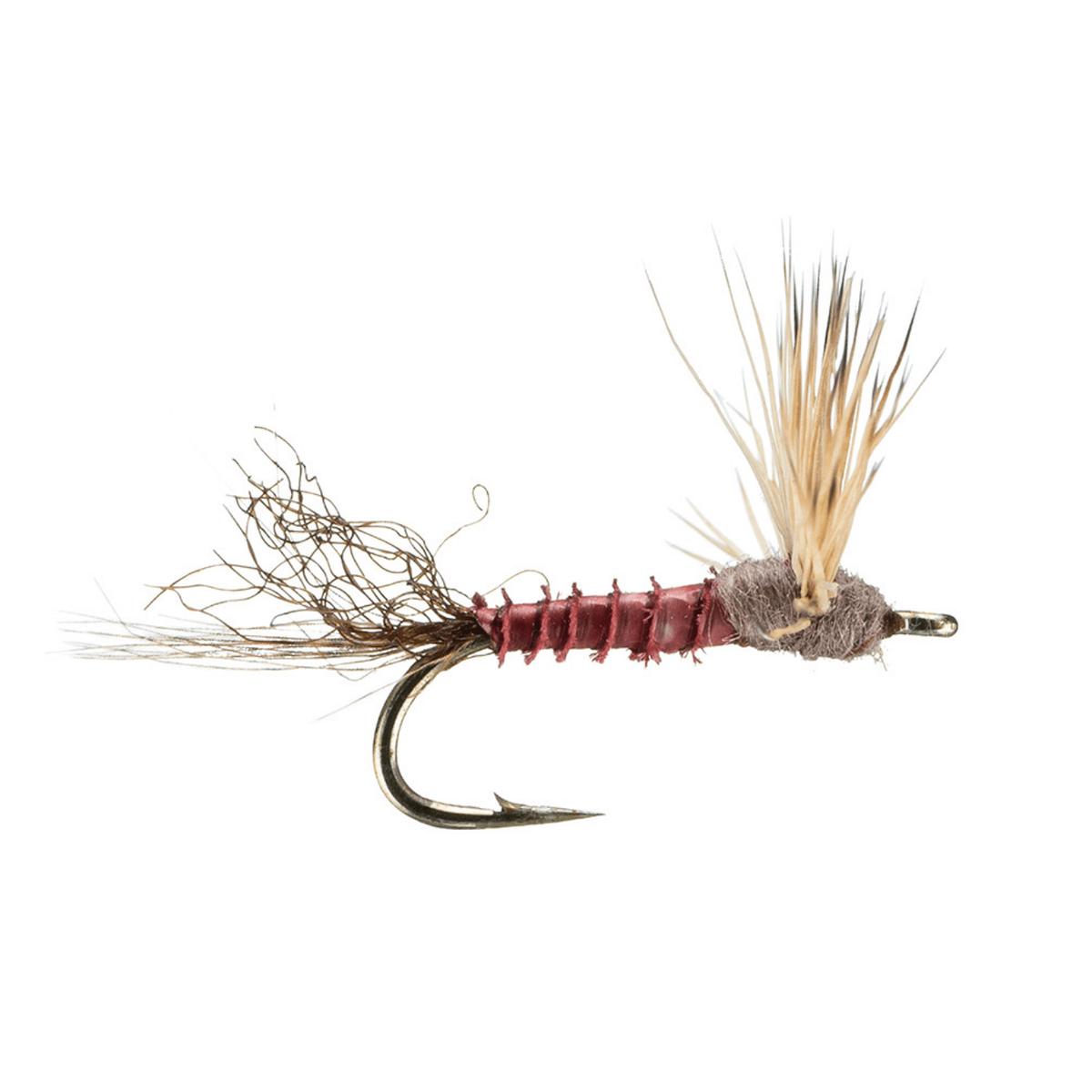Sparkle Dun - Mahogany