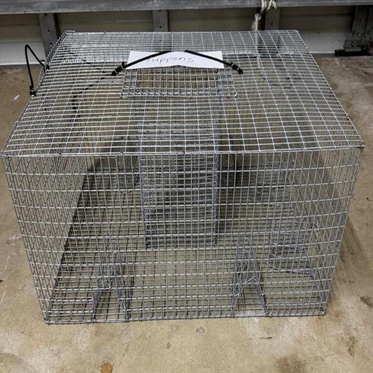 Tray's Traps 6 Funnel Pinfish Trap Galvanized 24" x 18" x 12"