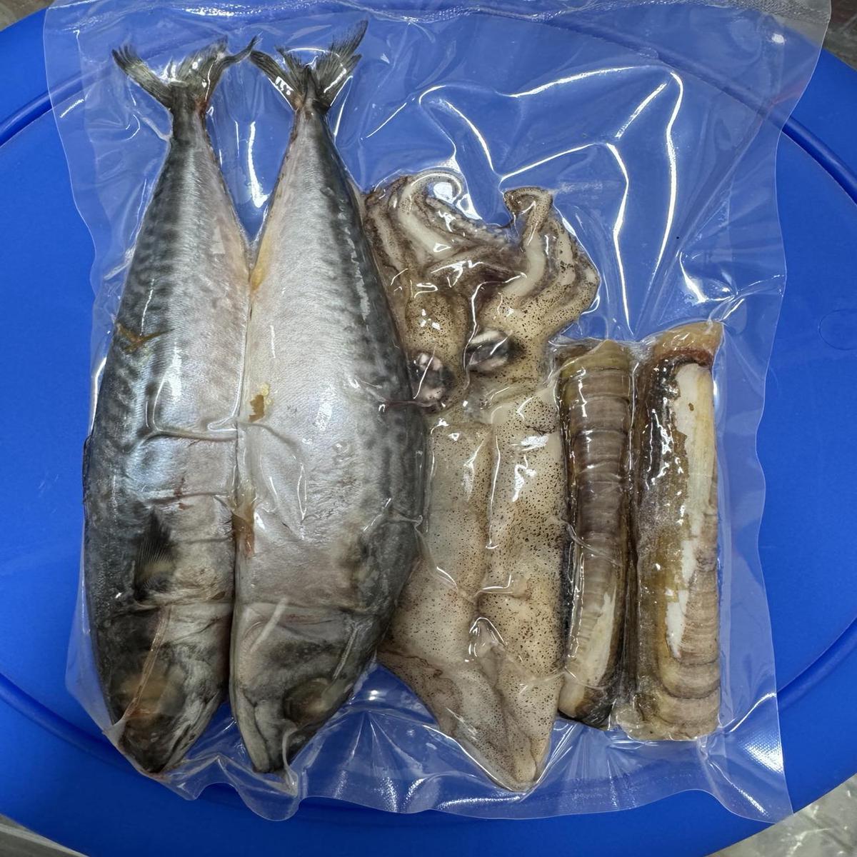 DeadBait Frozen Sea Pack