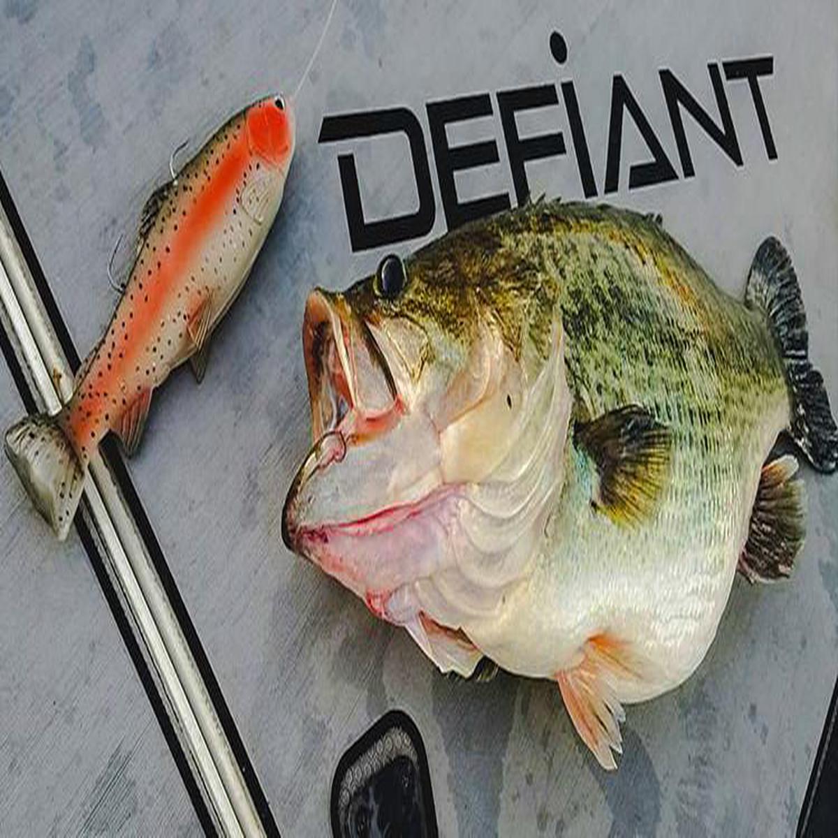 8.25" DEFIANT 210 SWIMBAIT
