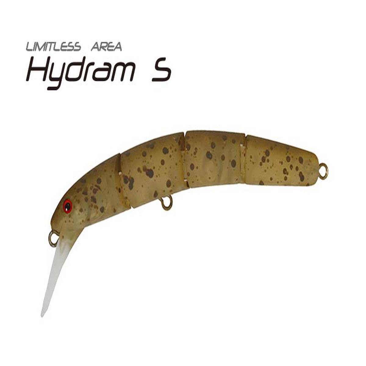 ValkeIn Hydram S