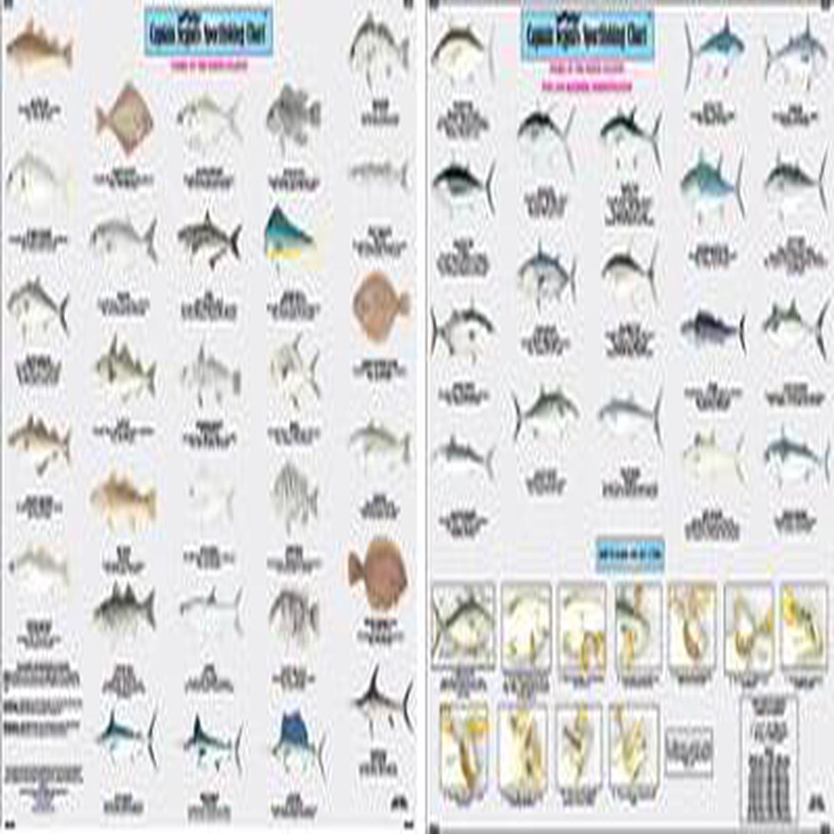 Capt Segull's Fishes Of The North Atlantic Chart
