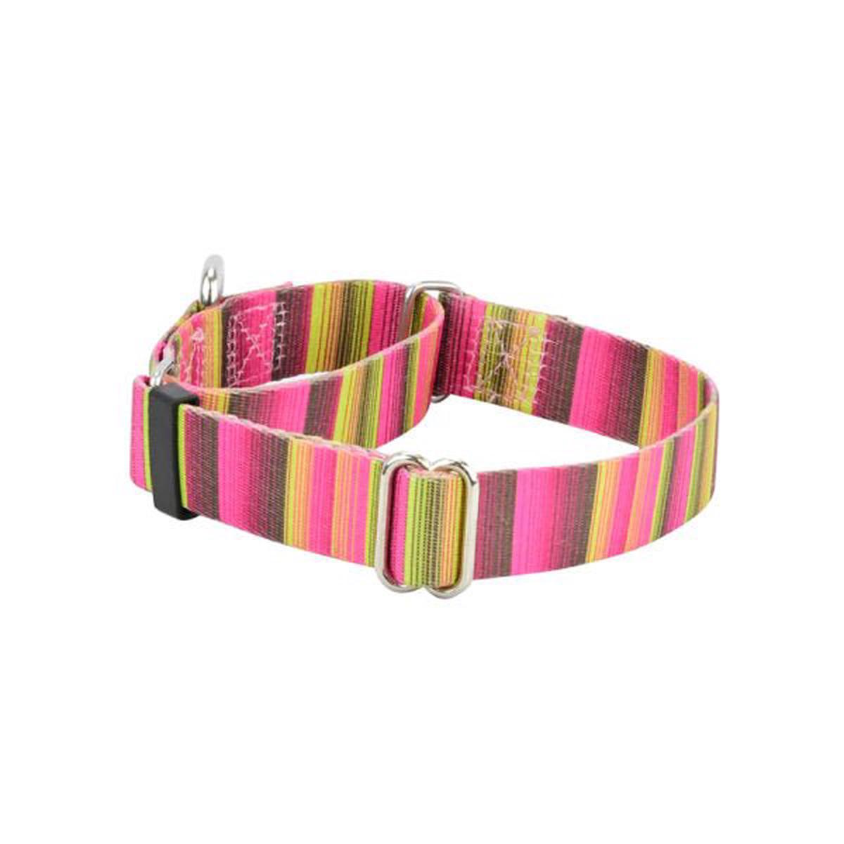 2 Hounds Design Bonnie Martingale Dog Collar EarthStyle
