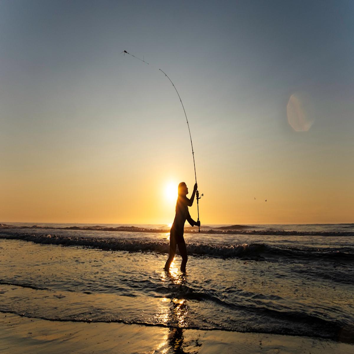 Guiding & Tutorial Trips