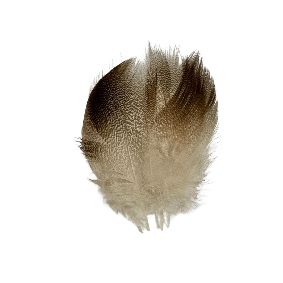 Shor - Bronze Mallard Large