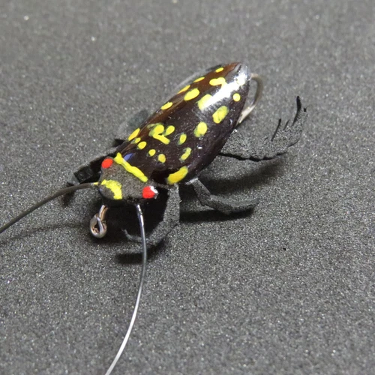 Realistic Diving Beetle, Dry/Wet Fishing Fly, Large, Sunburst