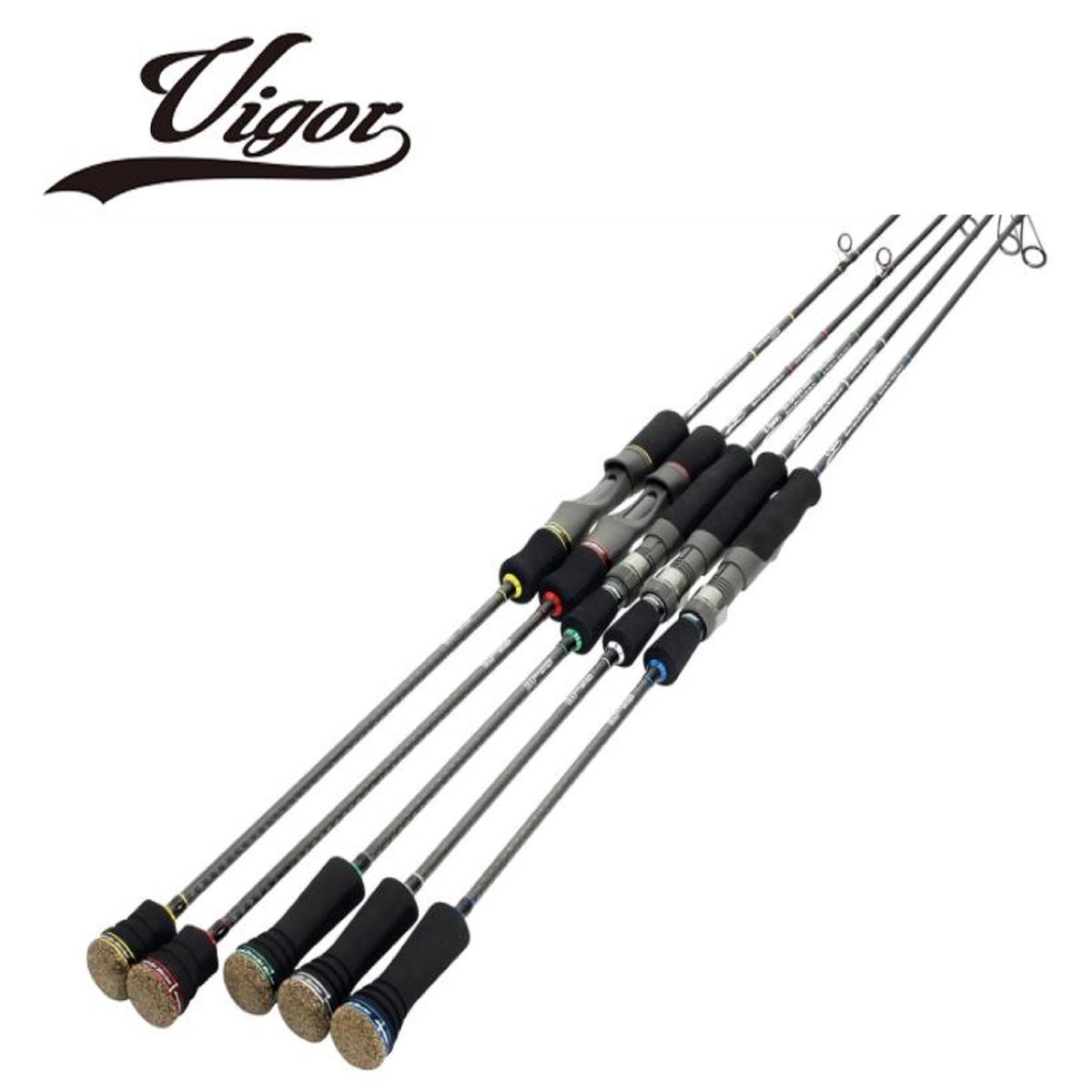 Duo Rod Baitcast Vigor C602ML 60-120 grams (0853)