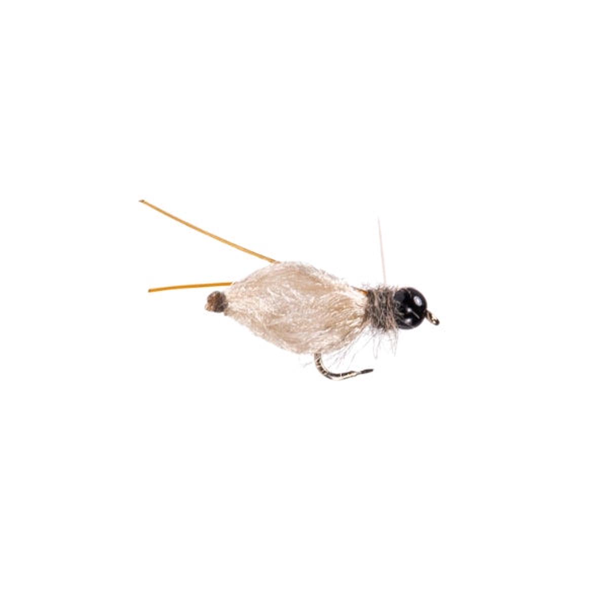 Prairie Doggin Pupa