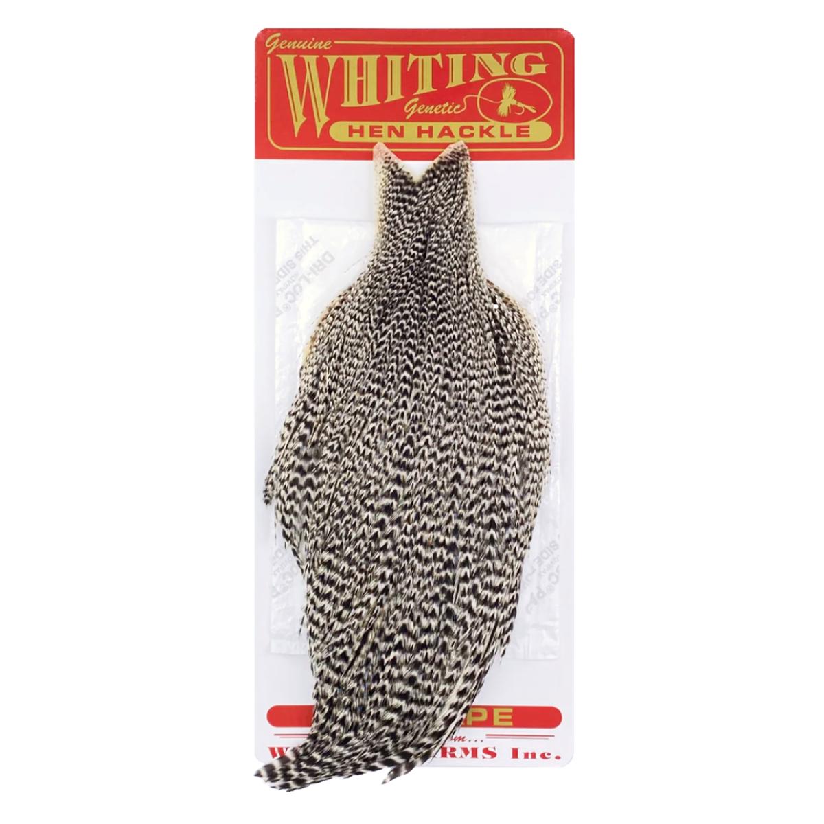 Whiting Hen Cape