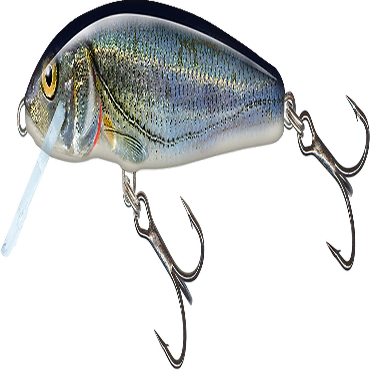 Salmo Minnow F 5cm 3g Spirling