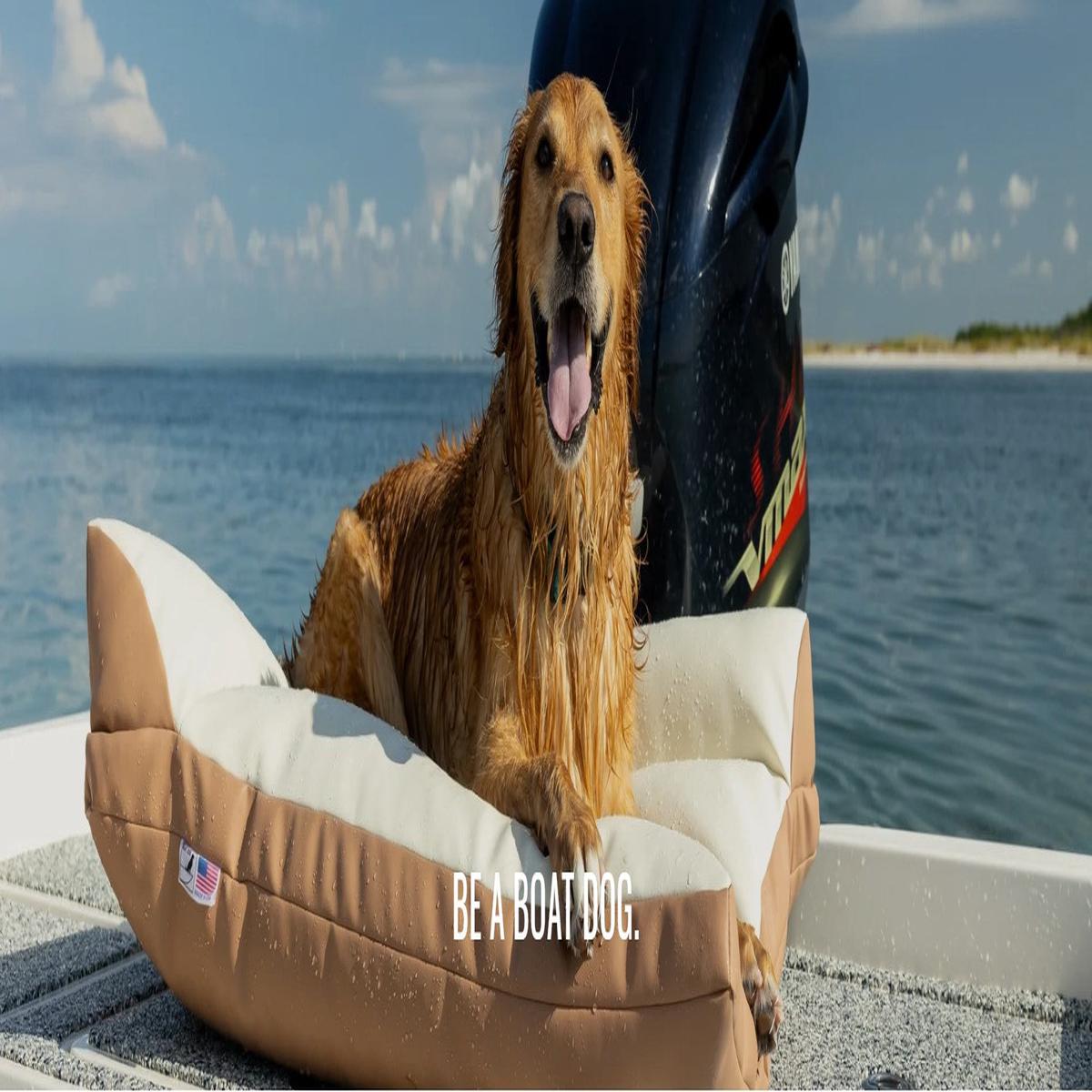 Boat Dog - Collars That are Built for the Outdoors.