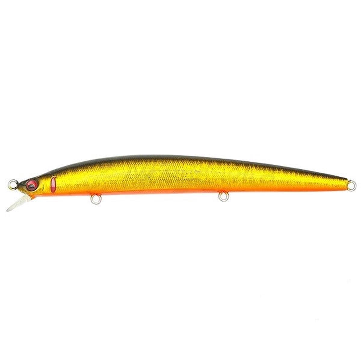 MEGABASS X-120 GG JABARA KINKURO