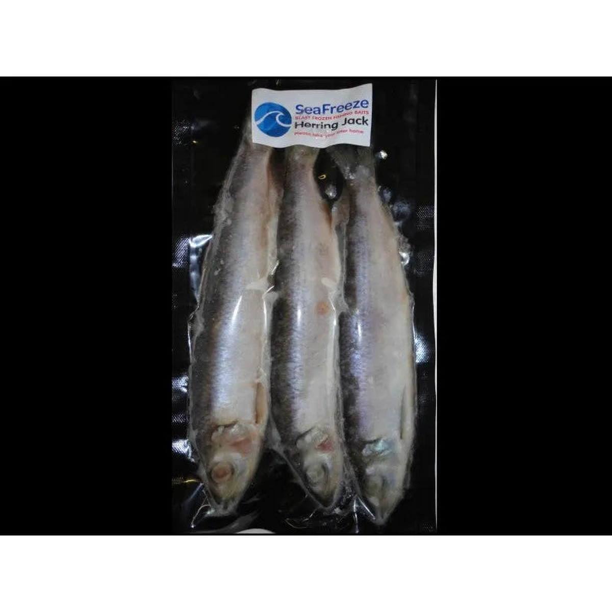 SeaFreeze Herring