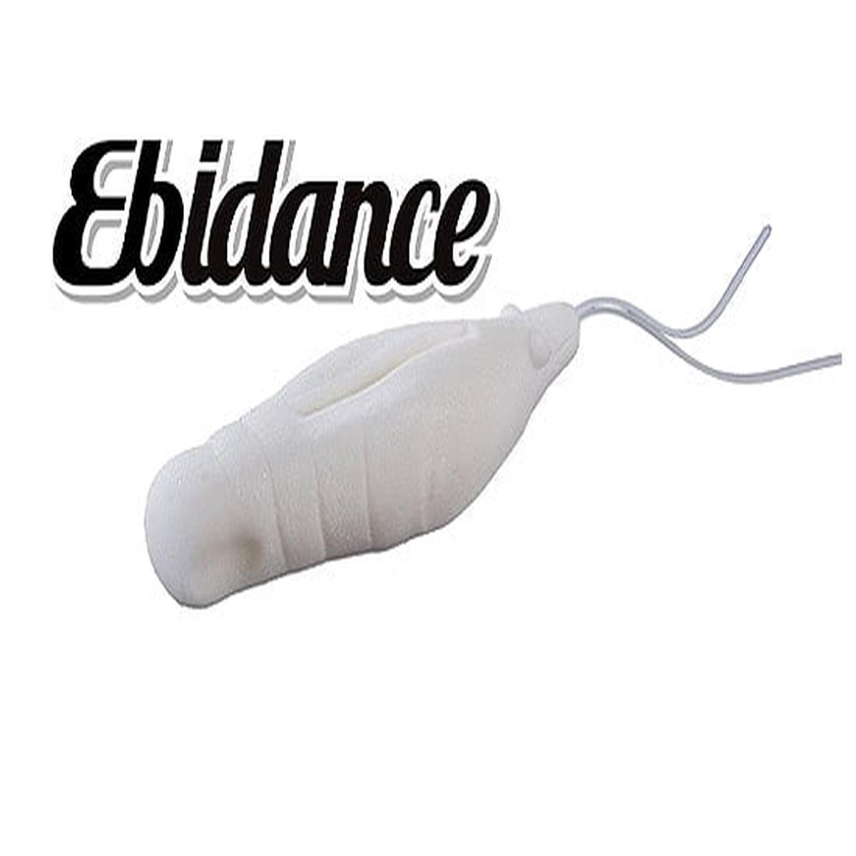OSP Ebidance