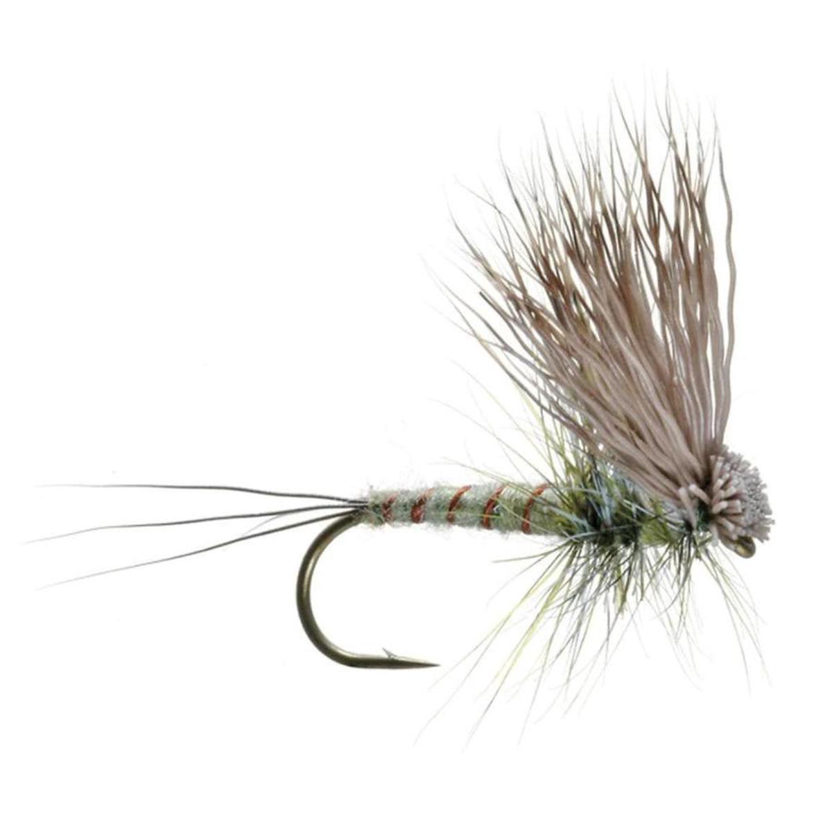 Hairwing Dun - Green Drake - Size 12