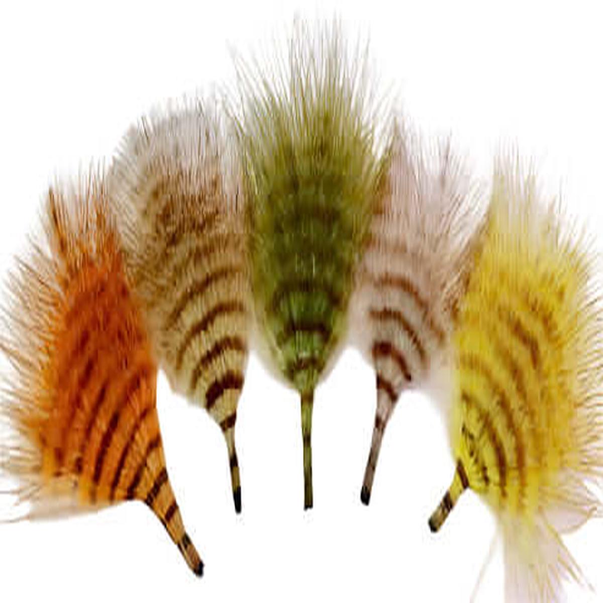 MFC - Mini Barred Buggerbou