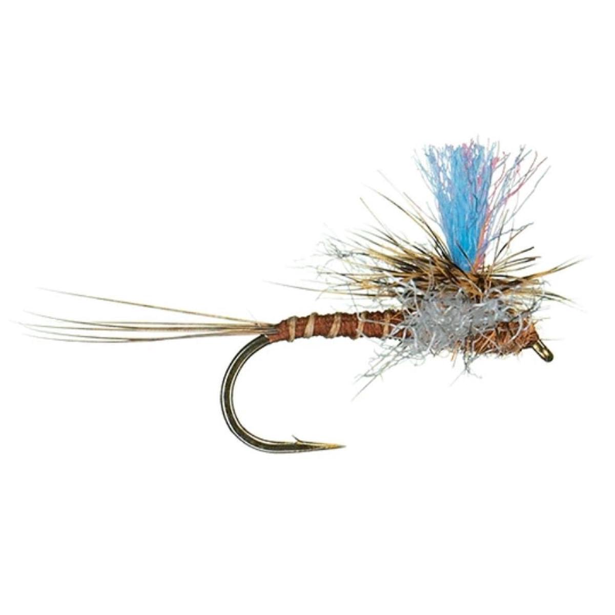Guide Winna Spinna