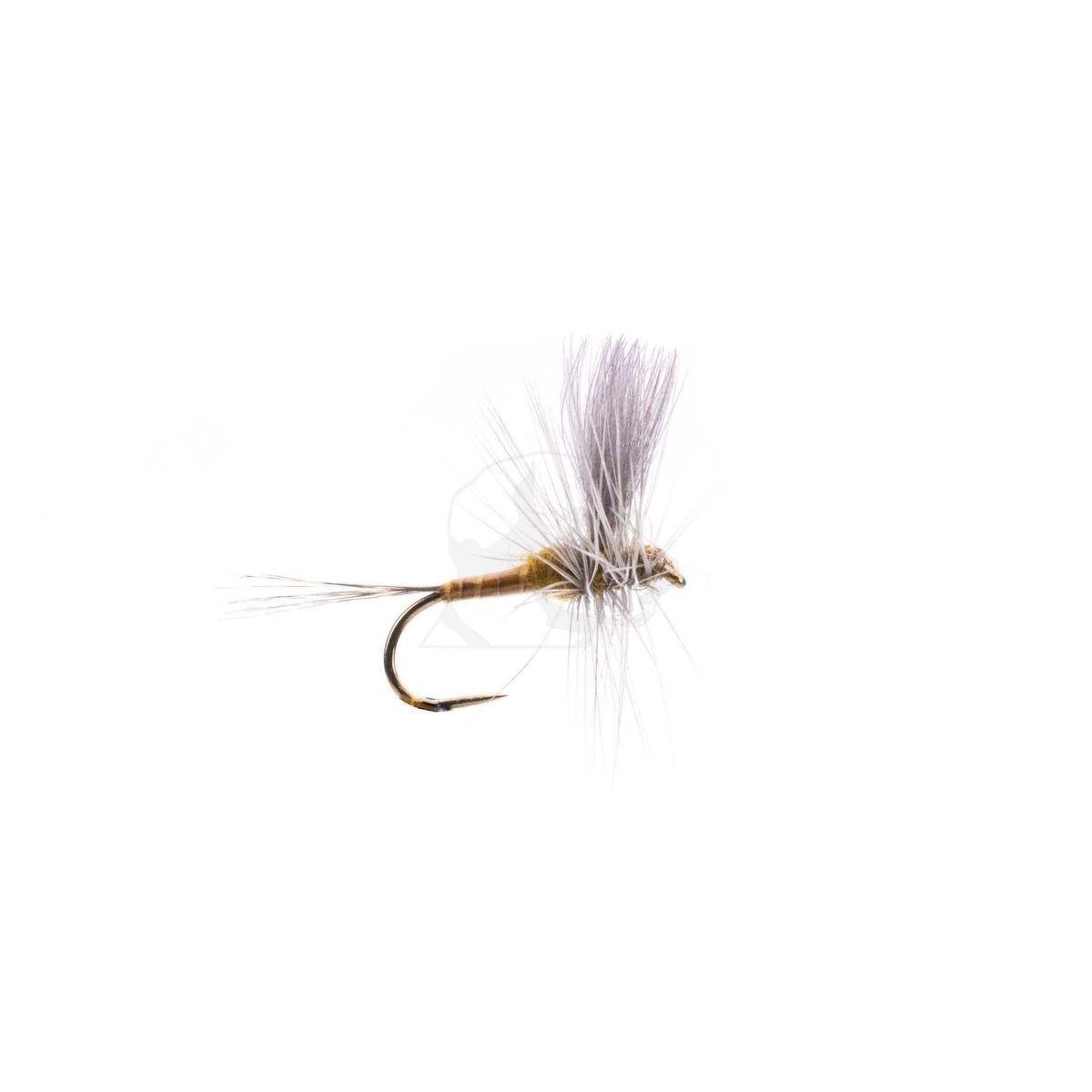 CDC Thorax - Flavilinea - Size 14