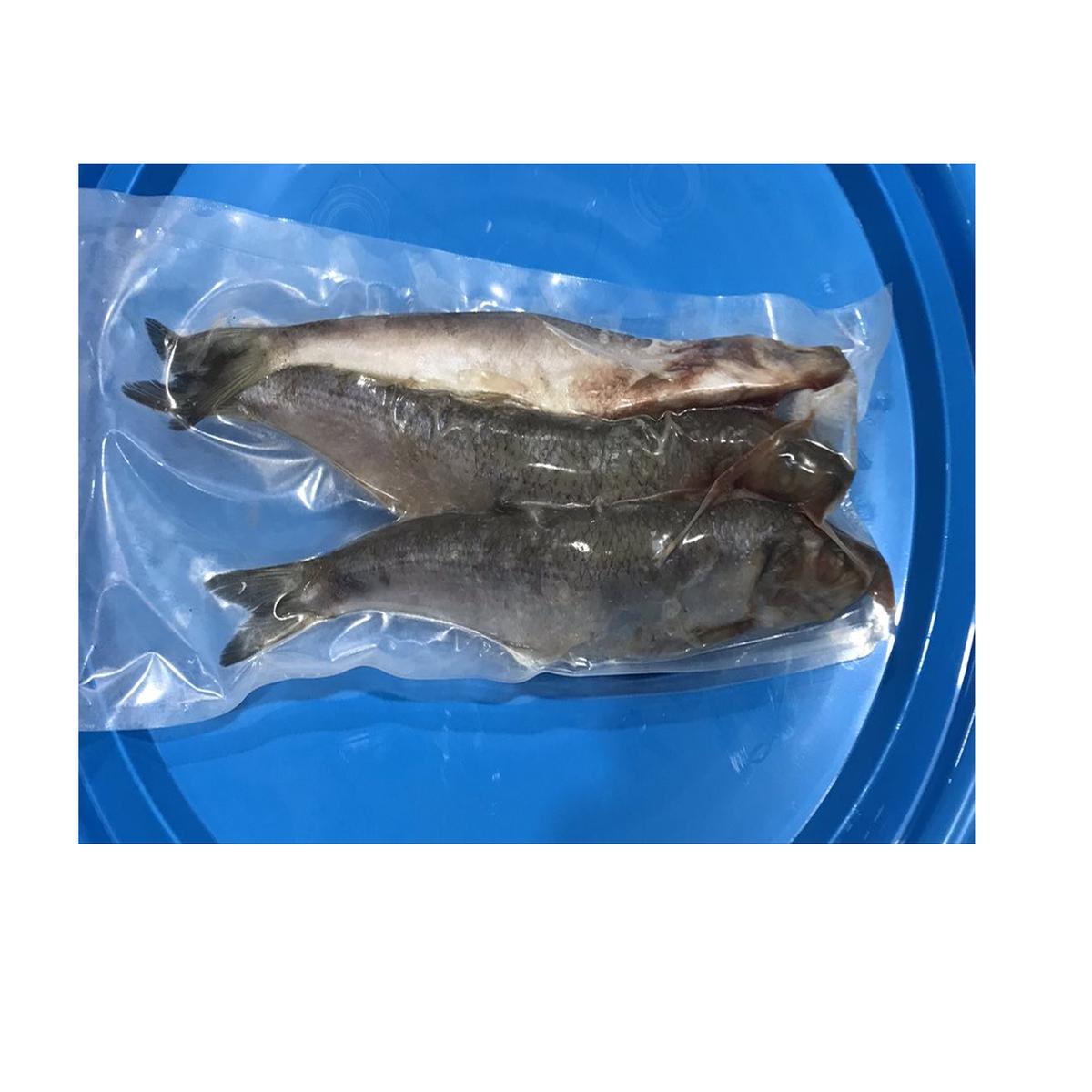 DeadBait Frozen Herring